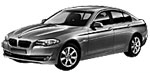 BMW F10 B0532 Fault Code